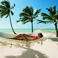 Отзыв от Алиса - DTV виза